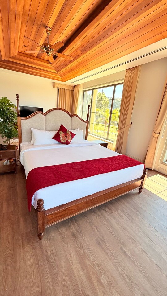 Stays in Shimla