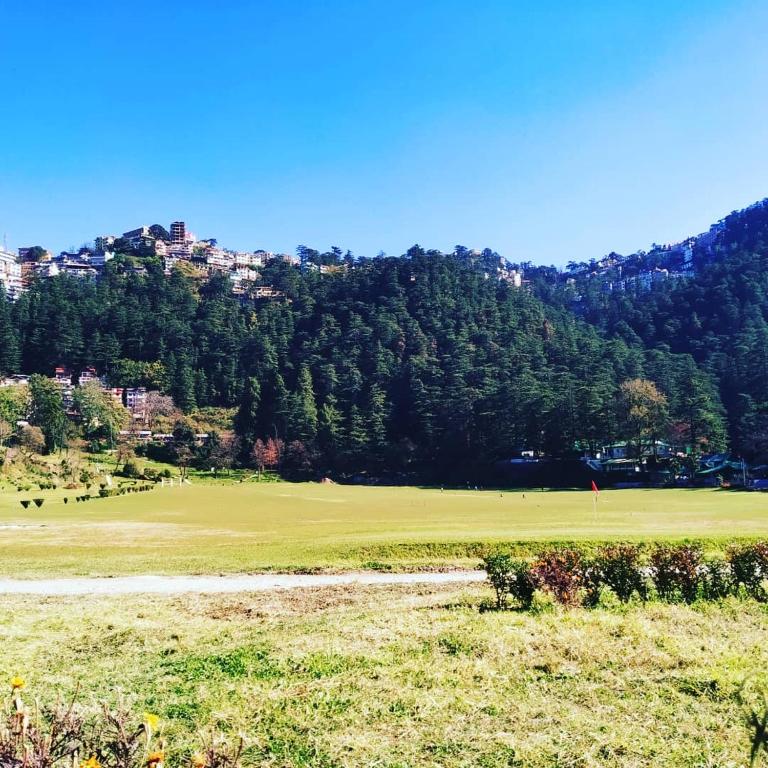 Stays in Shimla