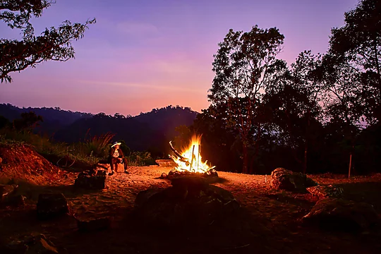 Stays in Munnar