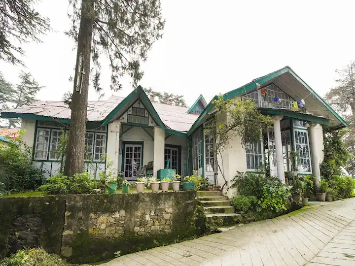 Stays in Shimla
