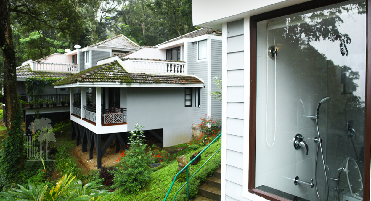 Stays in Munnar